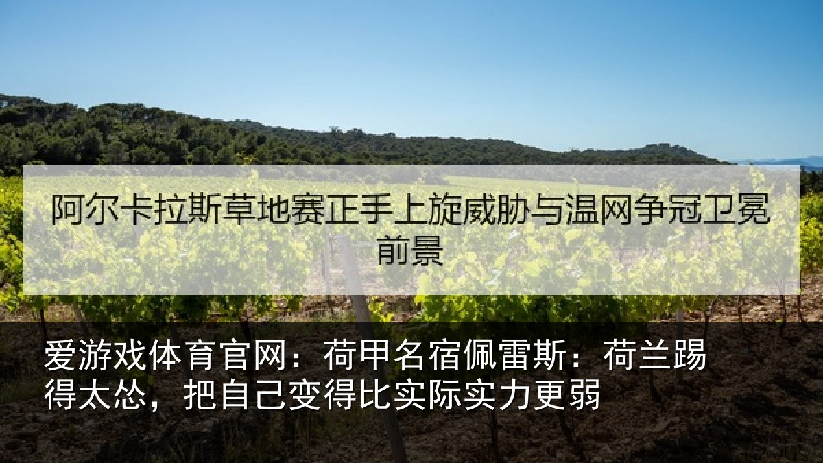爱游戏体育官网：荷甲相关情况得太相关情况际实力更弱
