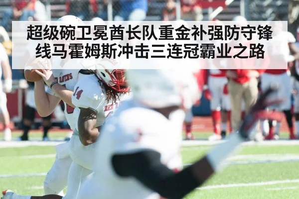 超级碗卫冕酋长队重金补强防守锋线马霍姆斯冲击三连冠霸业之路