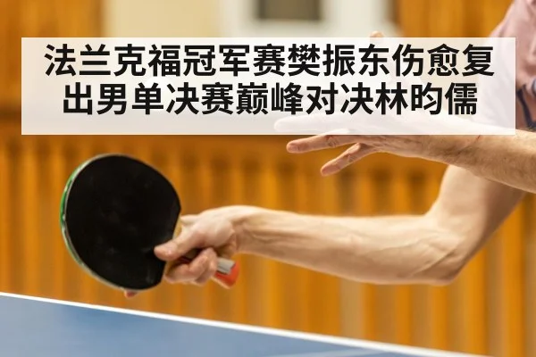 法兰克福冠军赛樊振东伤愈复出男单决赛巅峰对决林昀儒